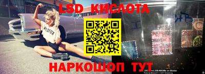 дмт Аргун