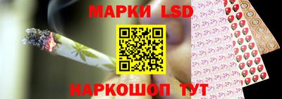 шишки Апшеронск