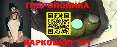 дмт Аргун