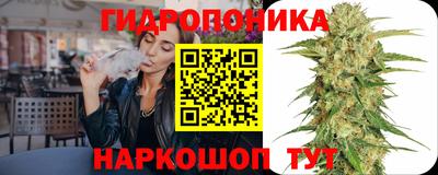 дмт Аргун